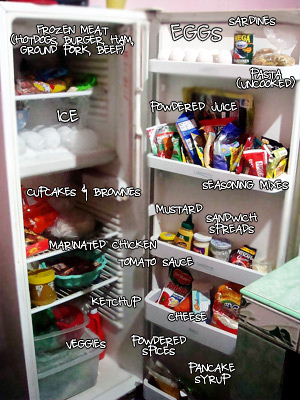 What’s Inside your Refrigerator?